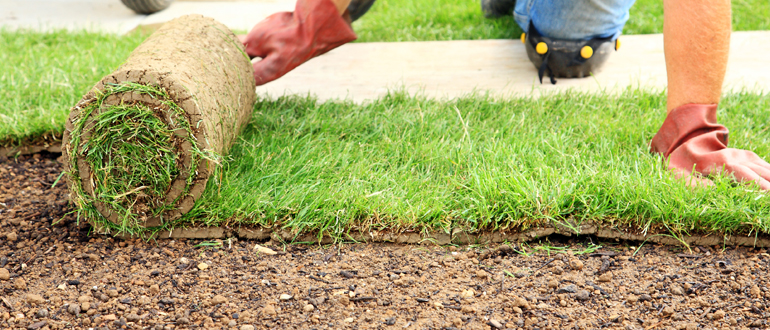 Lawn Install | Re-Seeding - Sod, Countryside Maintenance Lawn & Landscape