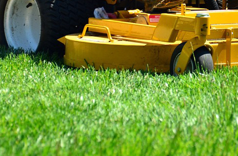 Countryside Maintenance Lawn Care