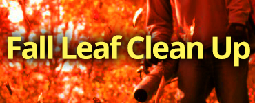 Countryside Maintenance Fall Leaf Clean Up