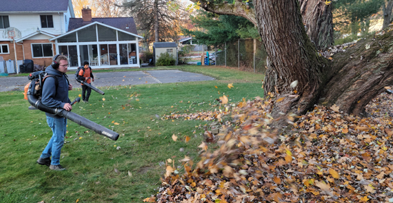 Fall Clean Up, Countryside Maintenance Lawn & Landscape
