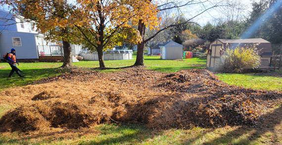 Fall Clean Up, Countryside Maintenance Lawn & Landscape